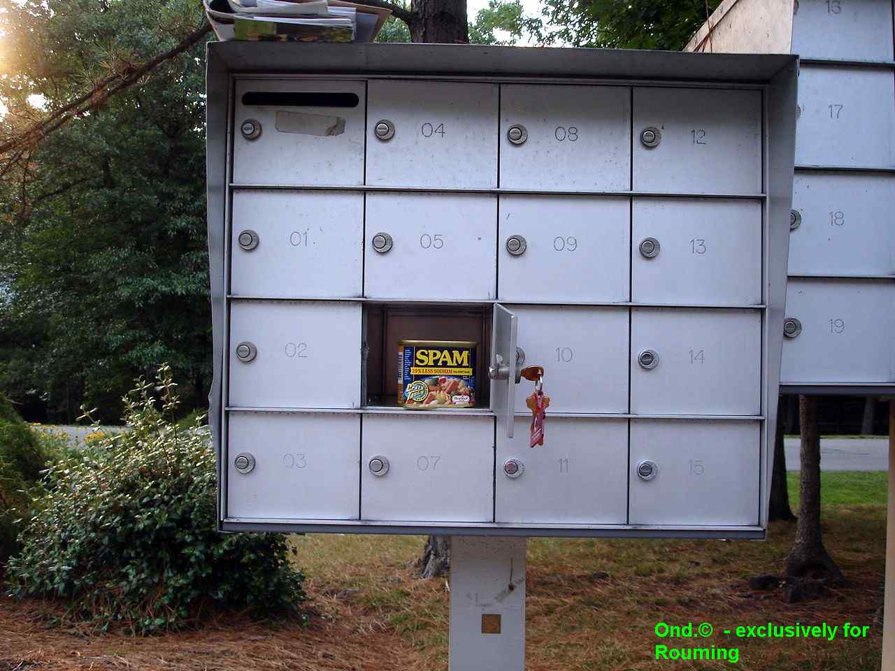 Obrázek SPAM in my mailbox2