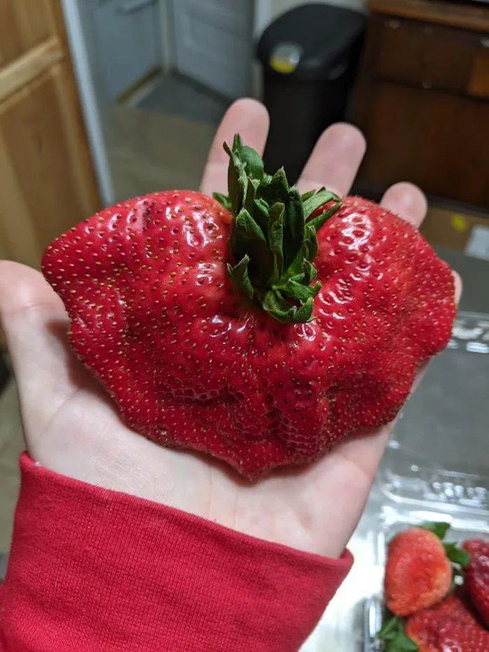 Obrázek STRONKberry