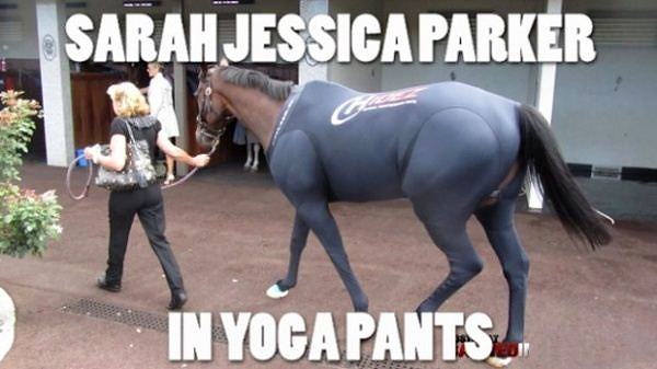 Obrázek Sarah Jessica Parker Yoga Pants - 26-06-2012