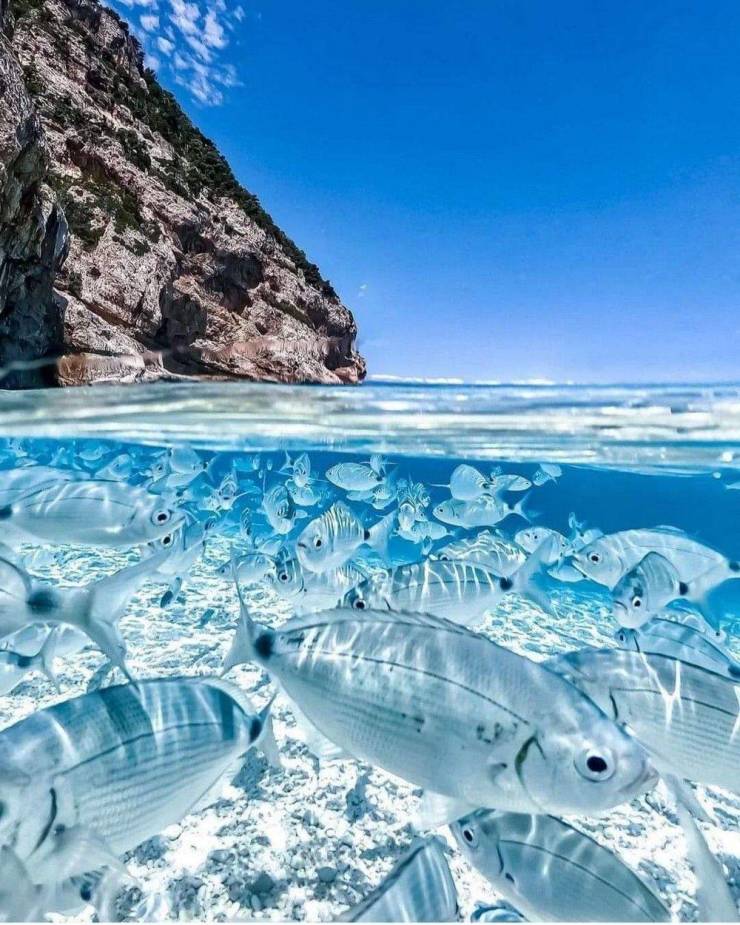 Obrázek Sardinia Italy