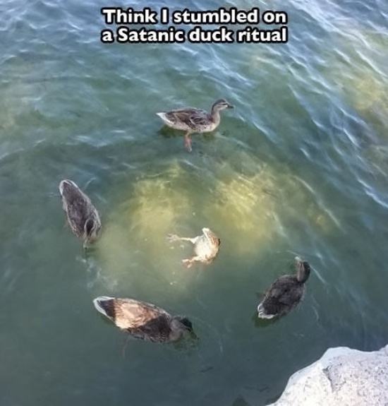 Obrázek SatanicRitual 