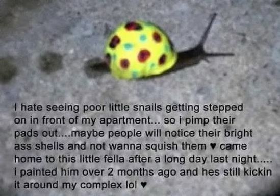 Obrázek Save the snails