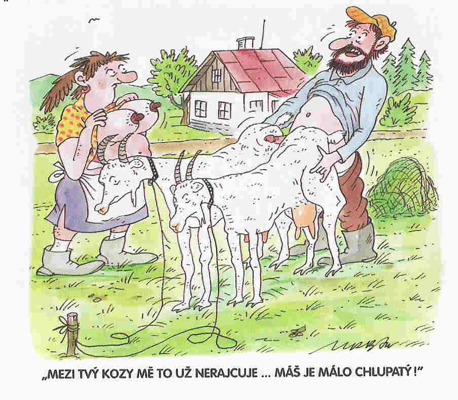 Obrázek Scan0016