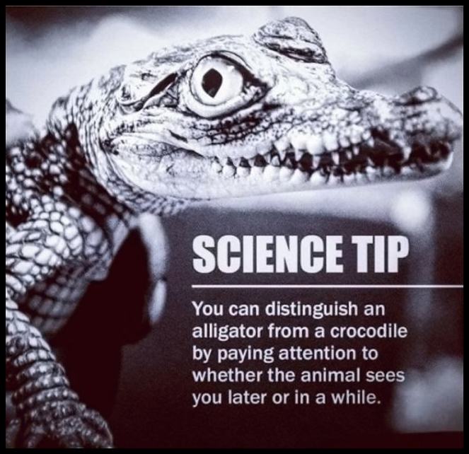 Obrázek ScienceTIP