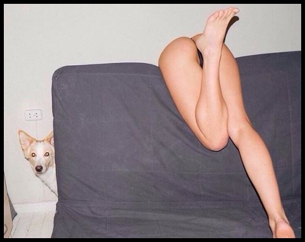 Obrázek Searching&nbsp;All&nbsp;Over&nbsp;&nbsp;&nbsp;&nbsp;