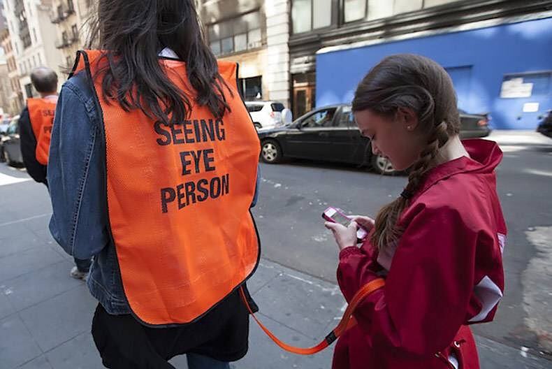 Obrázek Seeing Eye Person