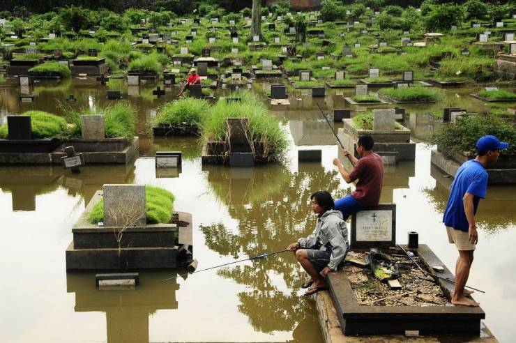 Obrázek Seeking the living among the dead
