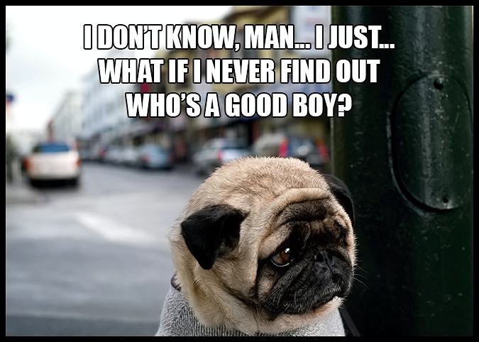 Obrázek Self-Reflective Pugs