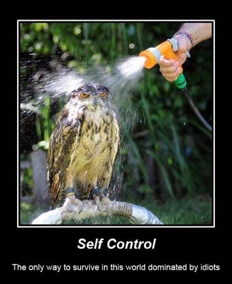 Obrázek Self Control1