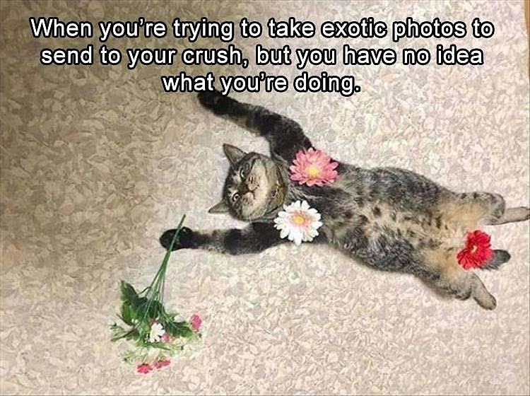 Obrázek Sending Photos TO Your Crush