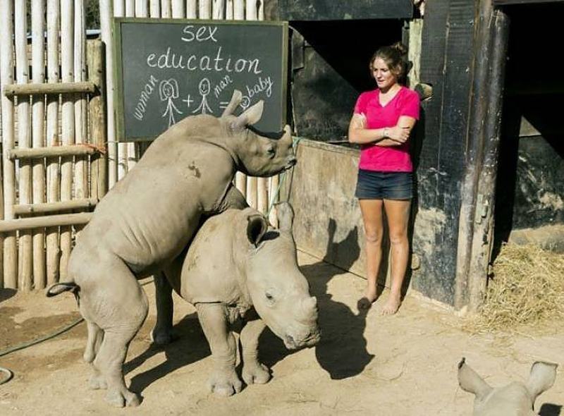 Obrázek Sex&nbsp;Education