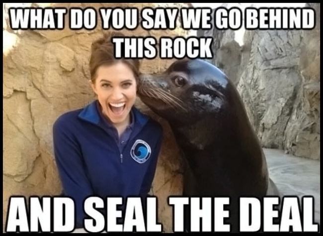 Obrázek Sex Seals.  