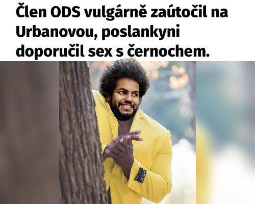 Obrázek Sex s cernochem