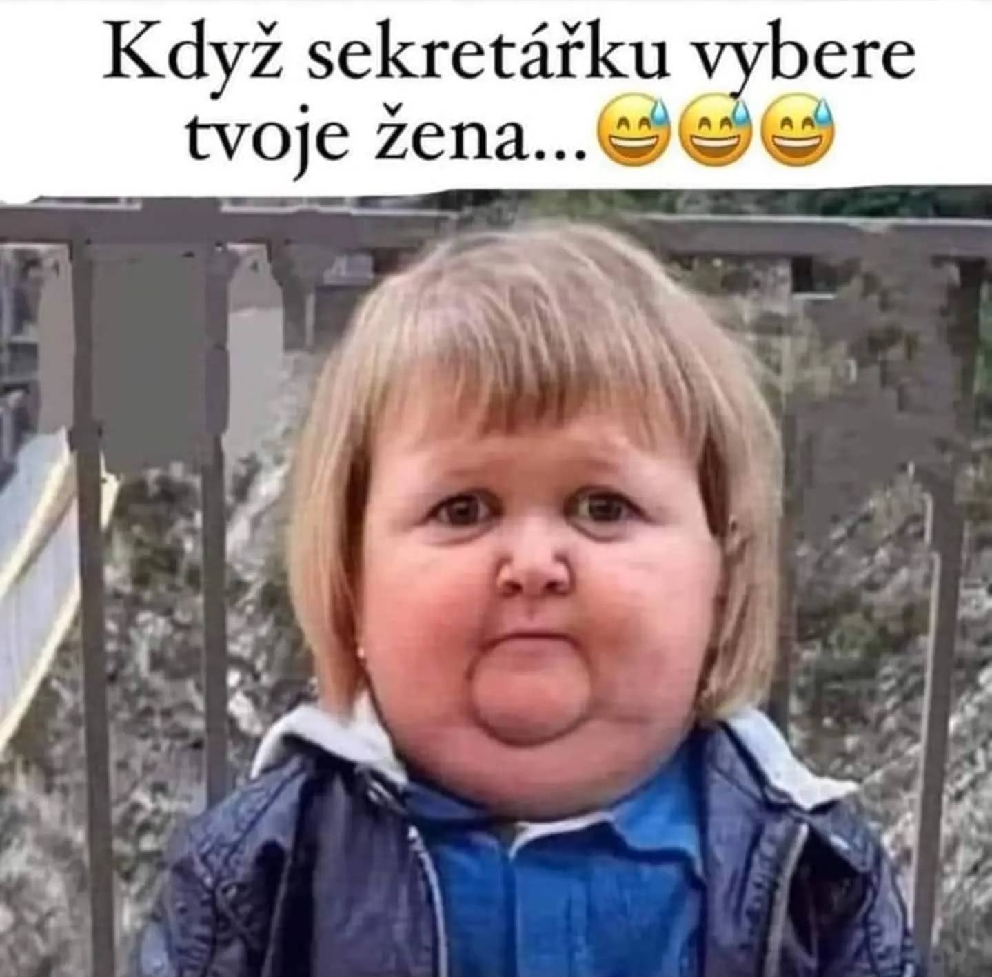 Obrázek Sexretarka