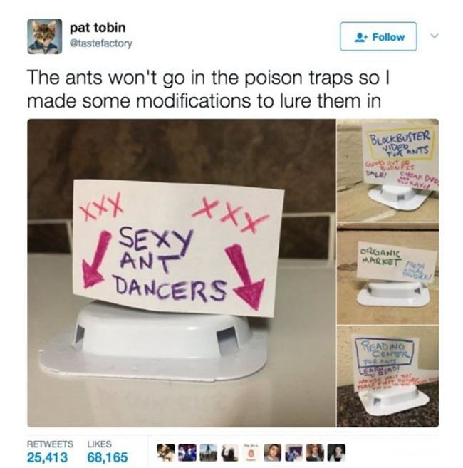 Obrázek Sexy&nbsp;Ant&nbsp;Dancers