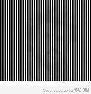 Obrázek Shake your head fast while looking at this pic