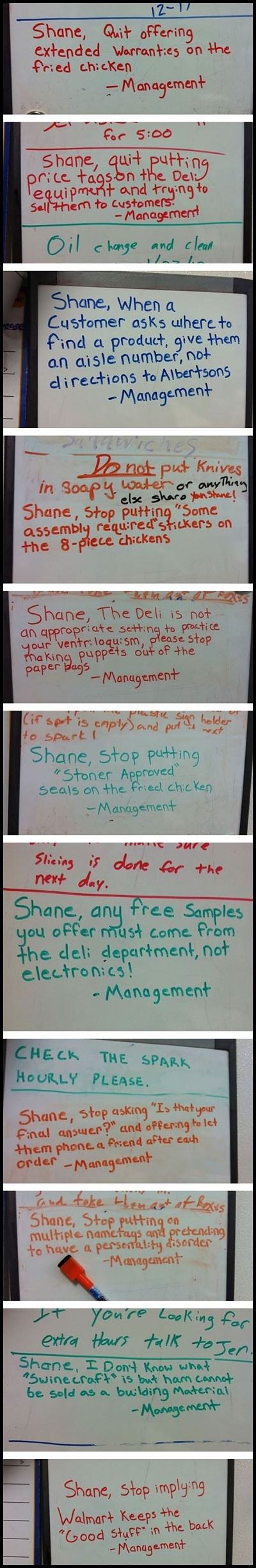 Obrázek Shane&nbsp;&nbsp;&nbsp;