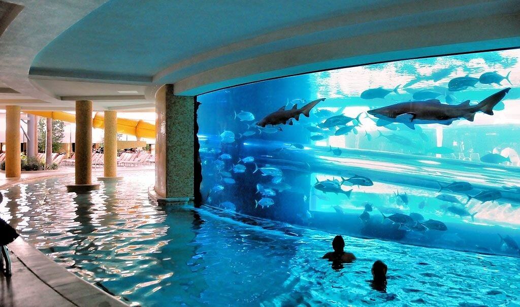 Obrázek Shark tank pool in Las Vegas