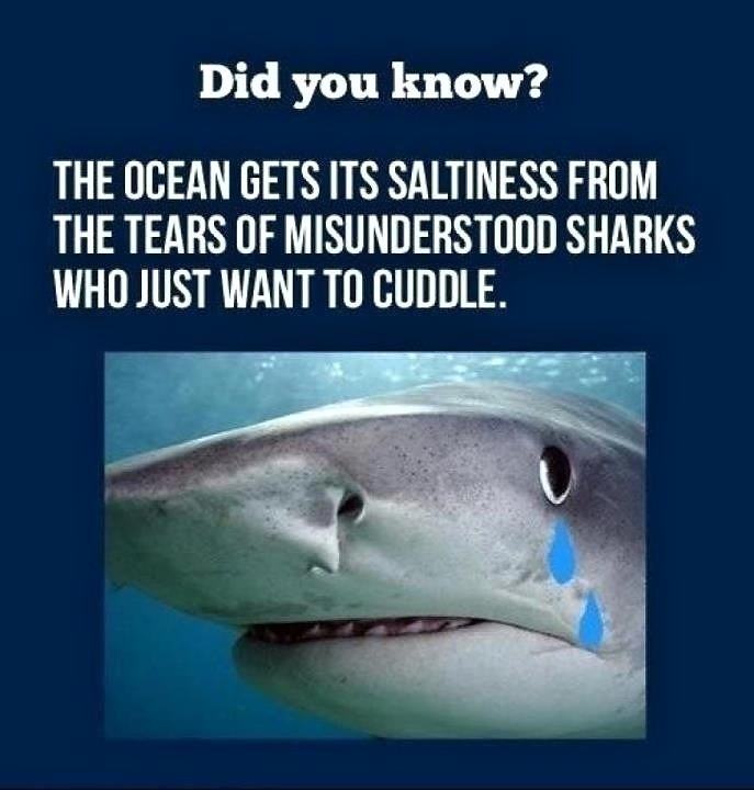 Obrázek Shark week is right around the corner - here is a shark fact - 22-06-2012