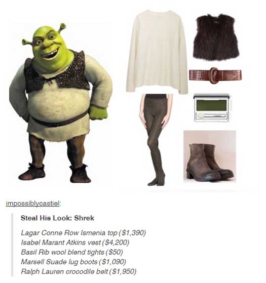Obrázek Shrek steal his look