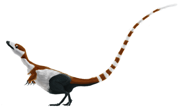Obrázek Sinosauropteryx by mmartyniuk solosml