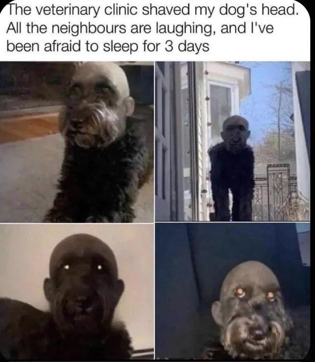 Obrázek Skinhead dog