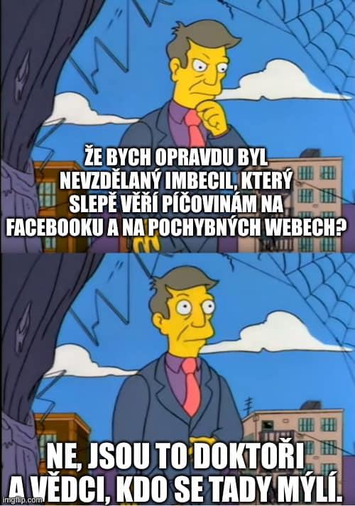 Obrázek Skinner na to kapnul zase