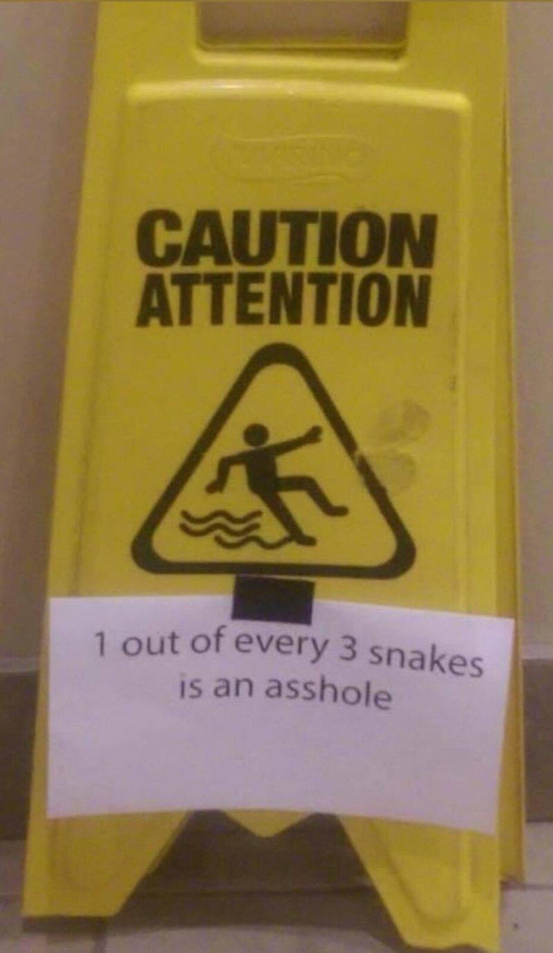 Obrázek Slipping and Slithering