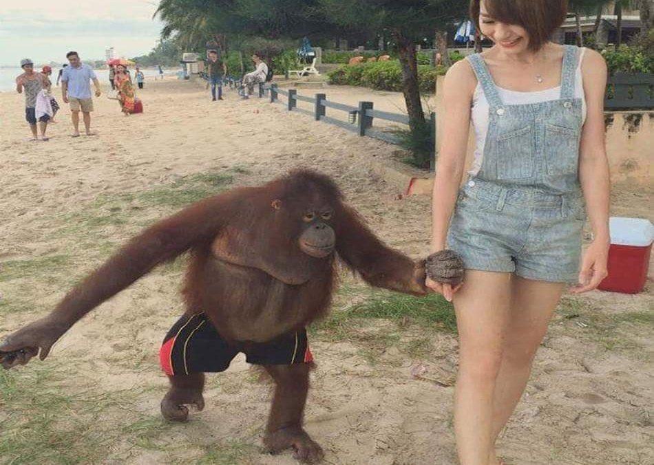 Obrázek Slovak&nbsp;v&nbsp;Cine