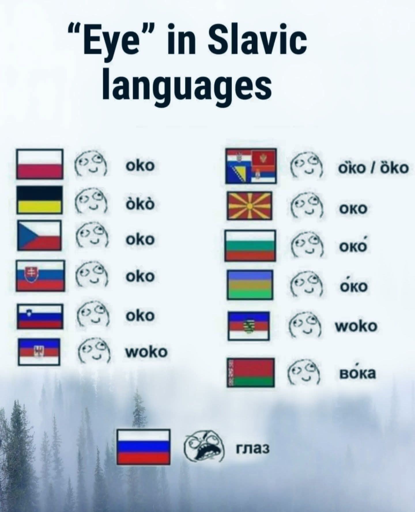 Obrázek Slovani a Rusaci