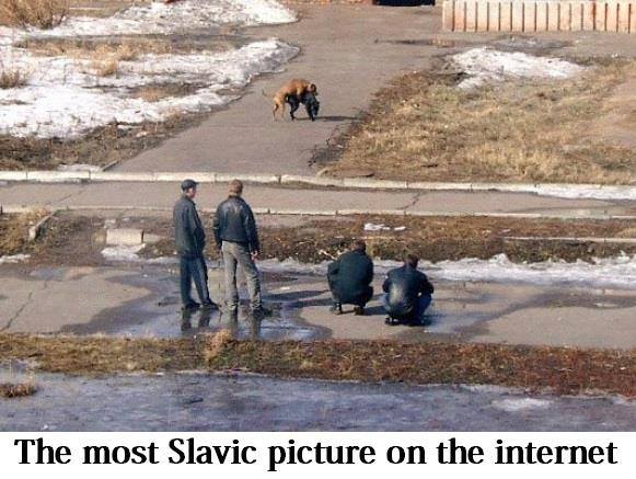 Obrázek Slovanstvi je krasny udel