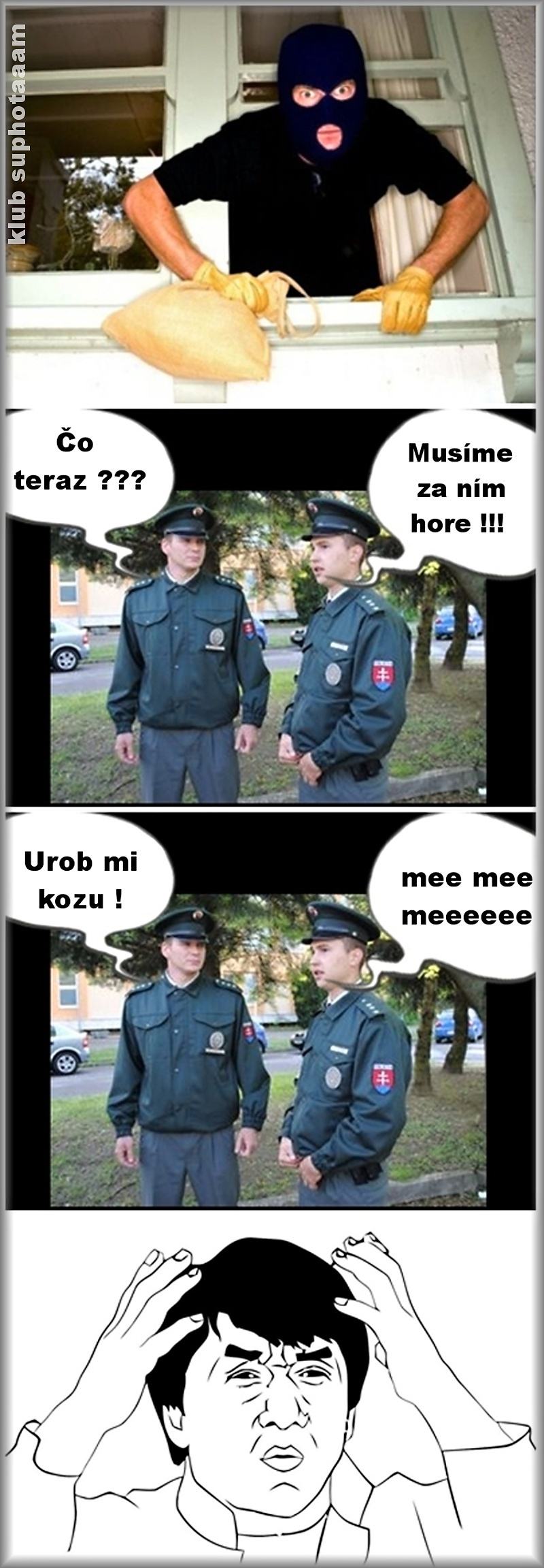 Obrázek Slovenska policie