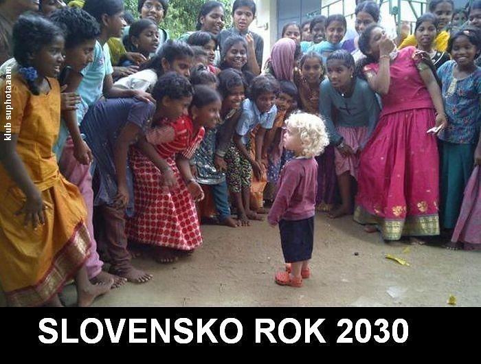Obrázek Slovensko 2030