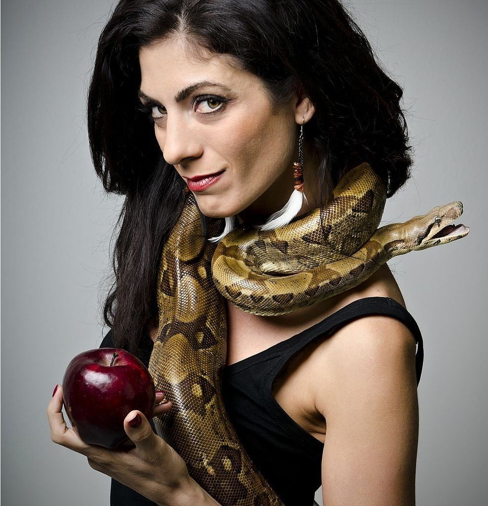 Obrázek Snake 10-03-2012