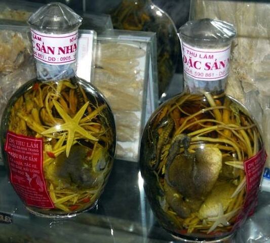 Obrázek Snake Wine2