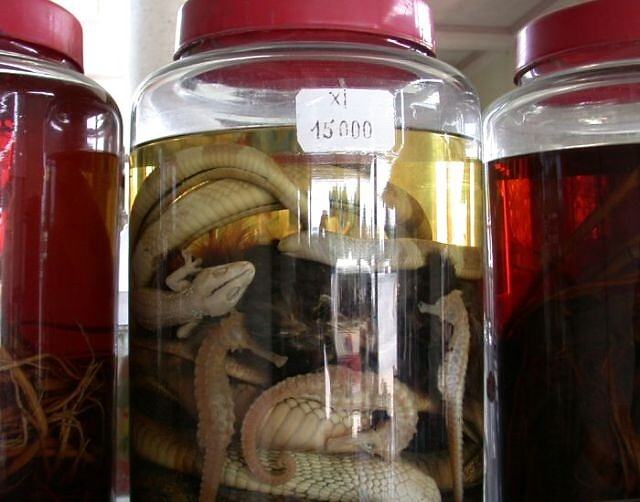 Obrázek Snake Wine3