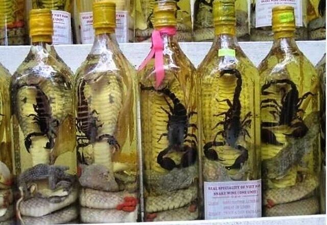 Obrázek Snake Wine4