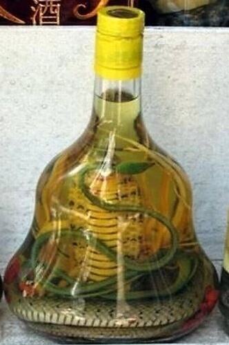 Obrázek Snake Wine6