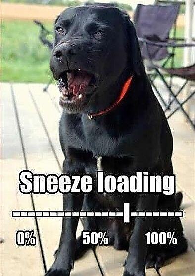 Obrázek Sneeze loading
