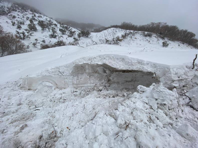 Obrázek Snow fossil