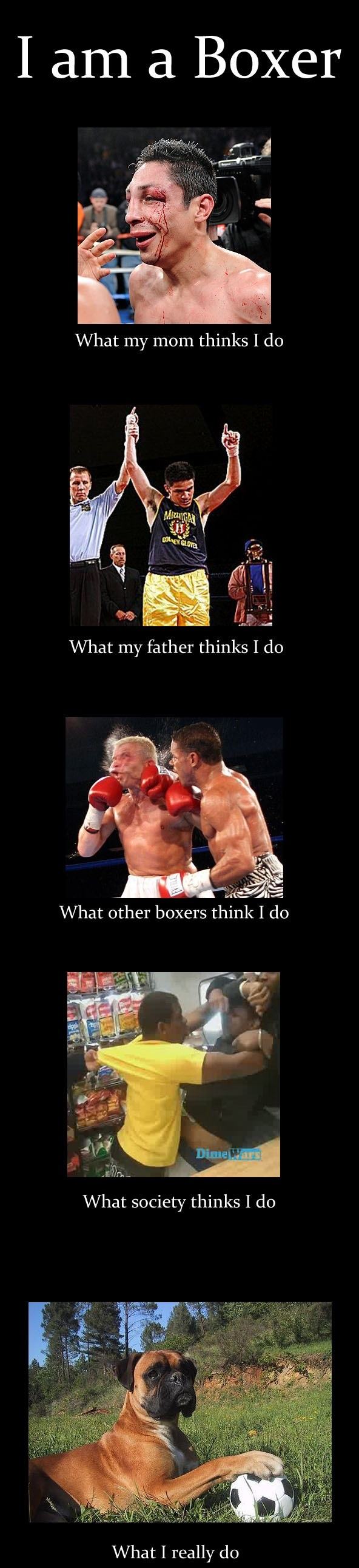 Obrázek So I 27m a Boxer