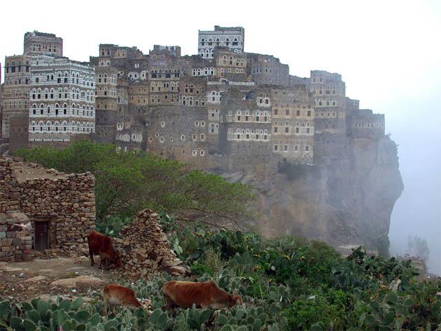 Obrázek Socotra Island 12