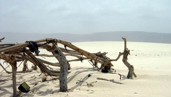 Obrázek Socotra Island 15