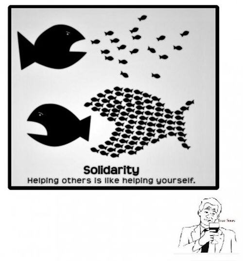 Obrázek Solidarity bro