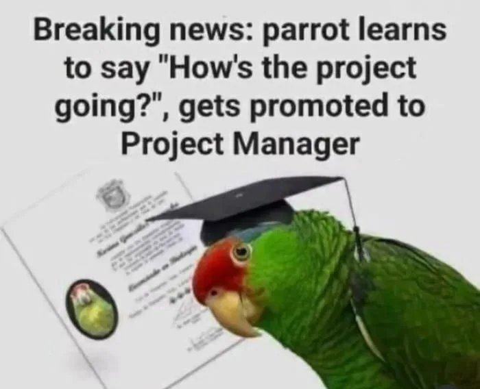 Obrázek Sooo-hows-the-project-going-1744098971299
