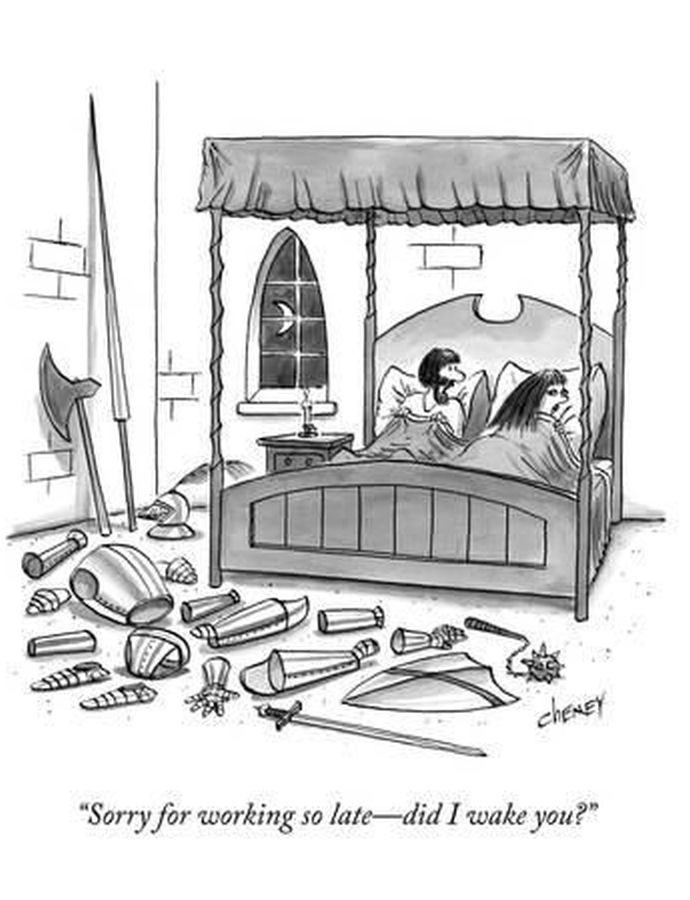 Obrázek Sorry Sorry Knight