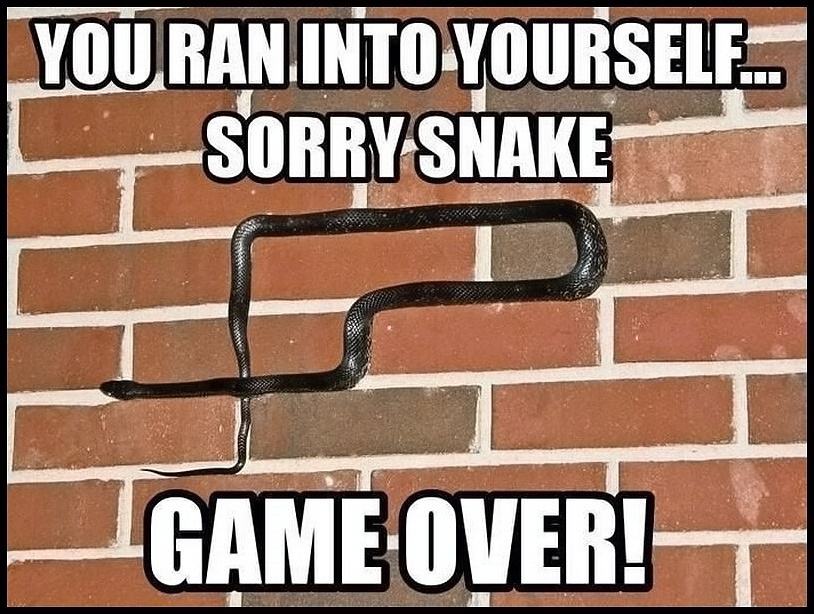 Obrázek Sorry snake  