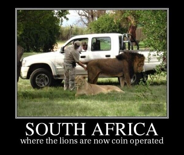 Obrázek South Africa
