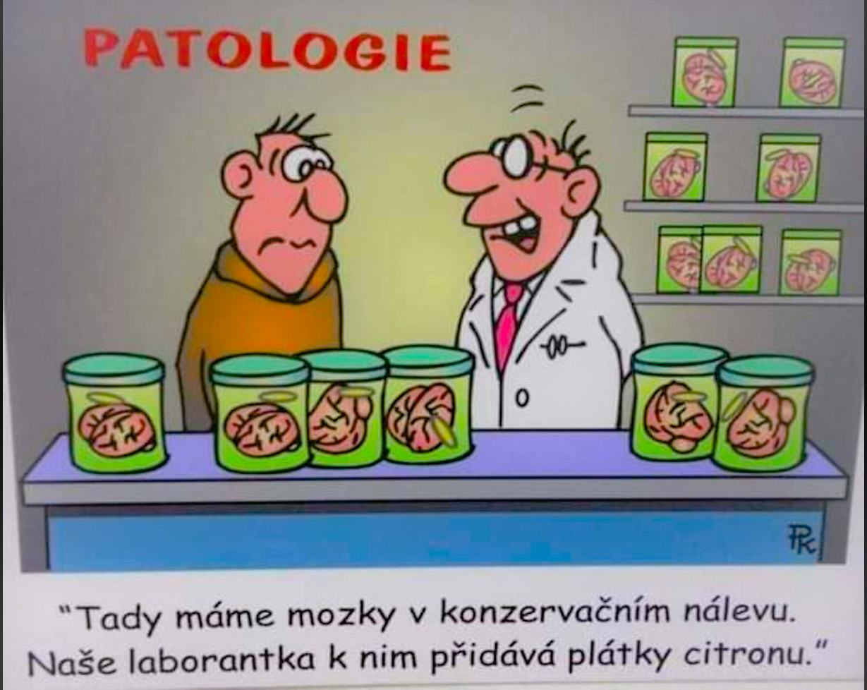 Obrázek Specialitka sefa patologie