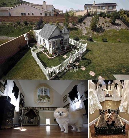 Obrázek Spectacular Pet Palaces 1